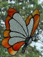 /album/fotogalerij-vlinders/oranje-vlinder-jpg2/